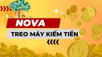 nova